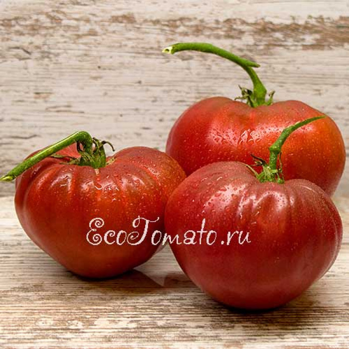 Cherokee Purple Heart